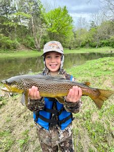 Arkansas’s finest trout fishing