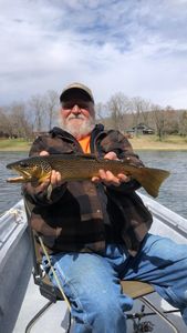 White River trout season is on