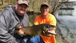 Arkansas river, real trout action