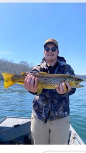 Prime spot for big trout