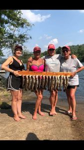 Rainbow Trout never disappoint