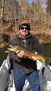 Arkansas waters, trout rewards