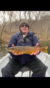 Best fishing on White River today