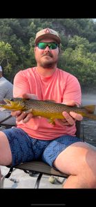 Angler with a sea trout catch in AR
