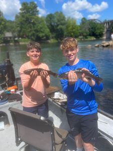 A pair of anglers fishing in AR