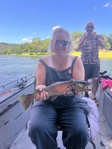 Rainbow trout caught in Cotter