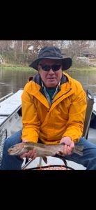Single rainbow trout caught in Arkansas