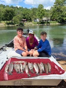 Three rainbow trout caught on a fishing trip in AR