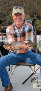 Cutthroat trout caught while fishing in AR
