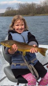 One rainbow trout fish caught in AR