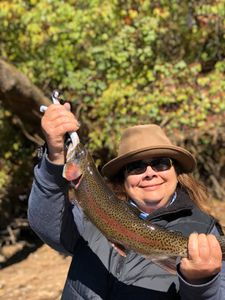 Photograph of a single brook trout caught while fishing in Cotter