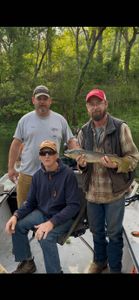 Cutthroat trout caught by three anglers in Cotter