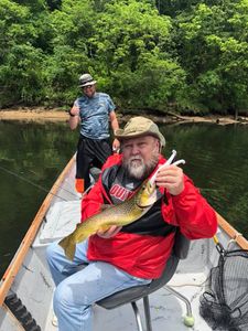 Cutthroat trout caught while fishing in AR