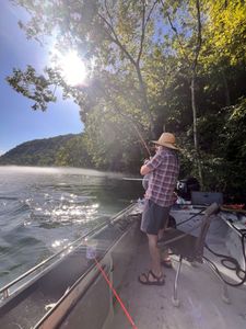 Fishing in AR