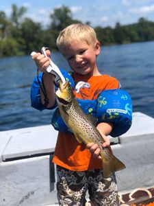 Lone angler fishing in Cotter