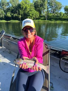 Rainbow Trout in AR