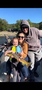 Rainbow Trout being fished in AR