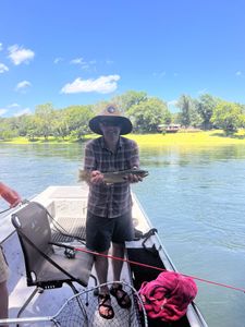 Fishing a rainbow trout in AR