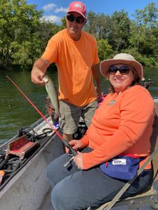 Rainbow trout caught in Cotter