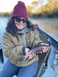 A beautiful rainbow trout caught in Cotter