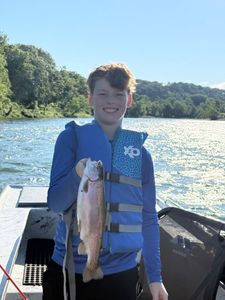 Rainbow Trout caught while fishing in AR