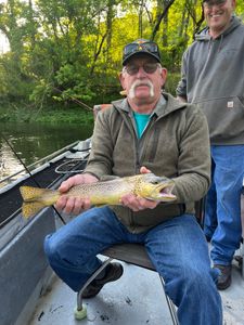 Rainbow Trout caught while fishing in AR