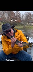 Breathtaking landscape in AR