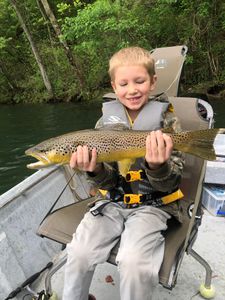 Photograph of a sea trout caught near Cotter while fishing