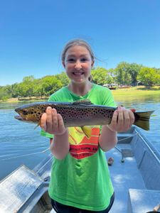 Photograph of a sea trout caught in Cotter