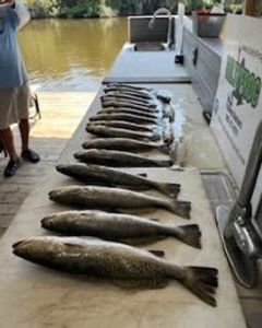 Monster Trout fishing near New Orleans, Louisiana