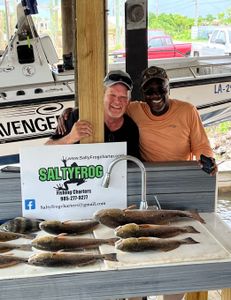 6 Black Drum and Redfish caught while fishing in LA