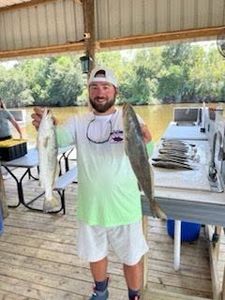 Giant Speckled trout in Hopedale, Louisiana