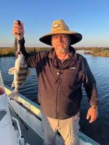 Angler catching a black drum fish in LA