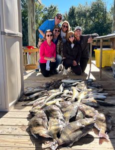 Black Drum fish caught in St Bernard
