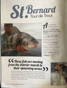 2 black drum fish caught in St Bernard
