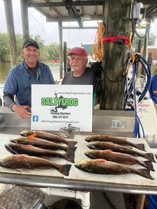 Four big black drum caught fishing in LA