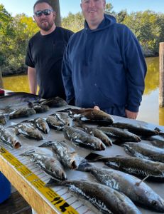 Four blue catfish caught in LA while fishing