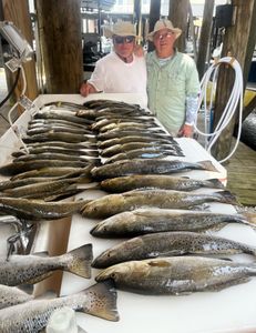5 spotted weakfish caught, fishing in St Bernard
