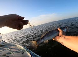 Fishing in LA