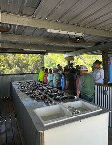 7 people fishing in LA