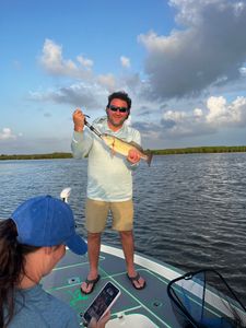 Redfish caught in LA