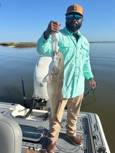 one person fishing in la