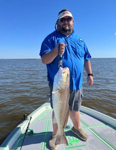 Angler with a large redfish catch in St Bernard