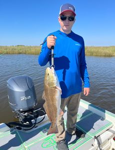 Redfish caught in LA