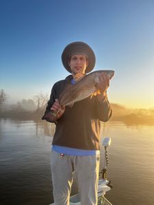 A lone redfish caught in LA