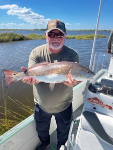 Redfish caught in LA while fishing