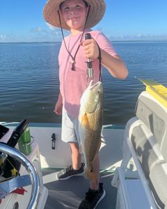 Redfish caught in St Bernard during fishing