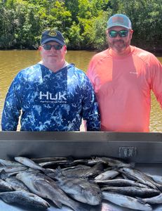 Redfish and Spotted Weakfish caught in LA