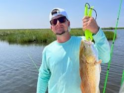 The iconic Red Drum making waves in Louisiana!