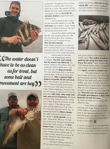 Two sheepshead fish caught in St Bernard, Louisiana